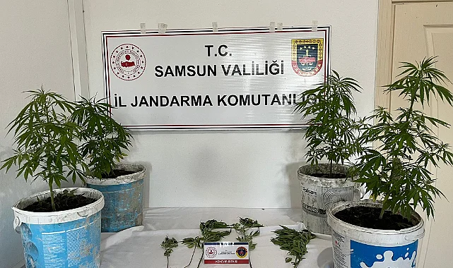 Samsun'da Uyuşturucu Operasyonu: 1 Kişi Gözaltına Alındı