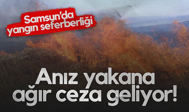 Samsun'da Yangın Tedbirleri Masaya Yatırıldı: Anız Yakana Ağır Ceza Geliyor!