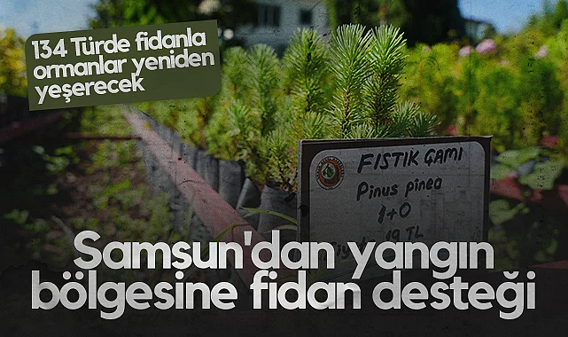 Samsun'dan Yangın Bölgesine Fidan Desteği