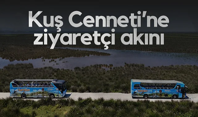 Samsun Kızılırmak Deltası Kuş Cenneti’ne Ziyaretçi Akını: Otobüslerle Deltayı Keşfediyorlar