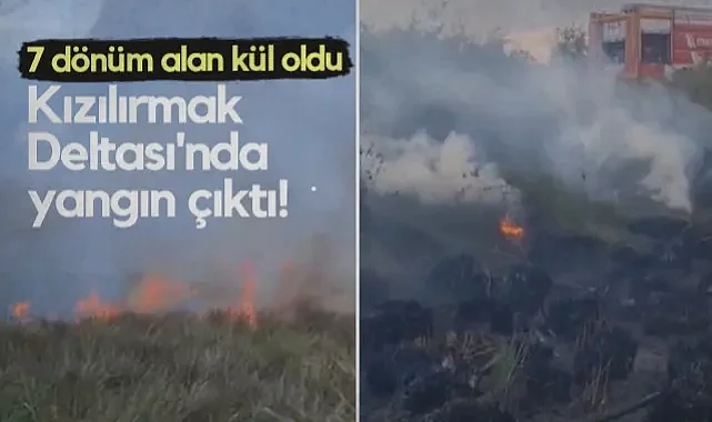Samsun Kızılırmak Deltası'nda Yangın Çıktı! 7 Dönüm Alan Kül Oldu...