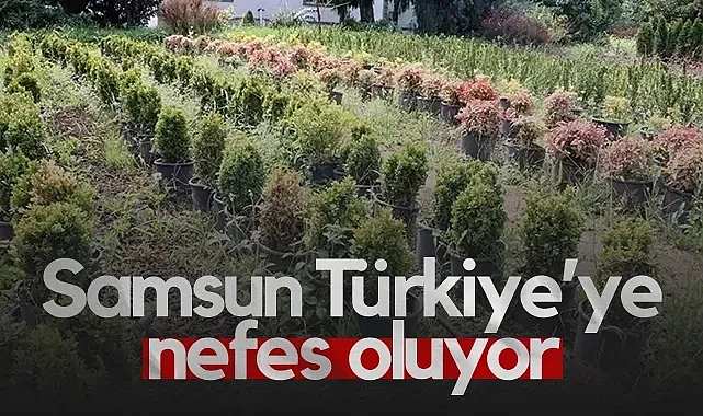 Samsun Türkiye'ye Nefes Oluyor