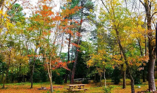 Samsun’un Tabiat Parkları Yılın İlk Yarısında 34 Bini Aşkın Ziyaretçiyi Ağırladı