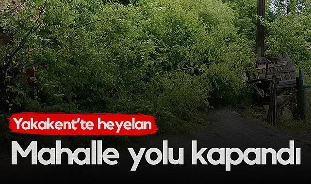 Samsun Yakakent’te Heyelan: Mahalle Yolu Kapandı