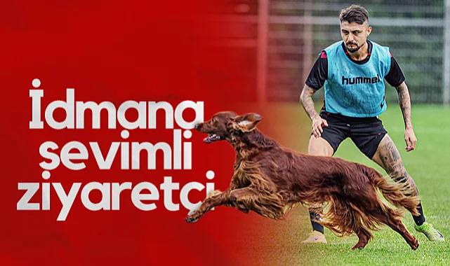 Samsunspor'un Antrenmanına Sevimli Ziyaretçi