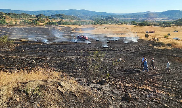 Sinop'ta 60 Dönüm Arazi ve Saman Balyaları Yandı