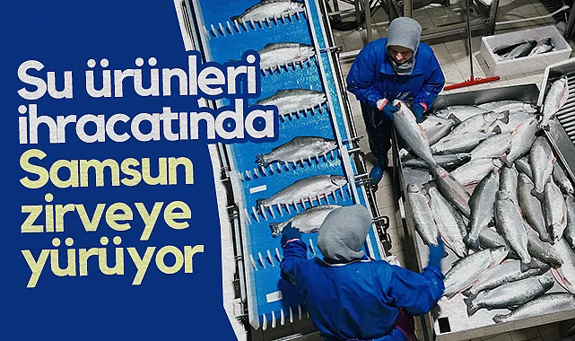 Su Ürünleri İhracatında Samsun Zirveye Yürüyor
