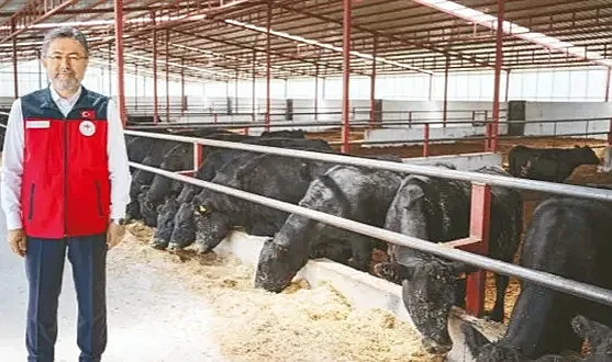 Tarım ve Orman Bakanı Yumaklı: Üreticiye Hayvan Başına 18 Bin TL Destek