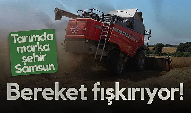 Tarımda Marka Şehir Samsun: Bereket Fışkırıyor!