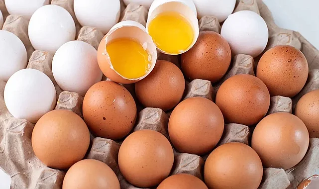 Yumurta İsrafına Son: Tarım Bakanlığı'ndan Radikal Karar!