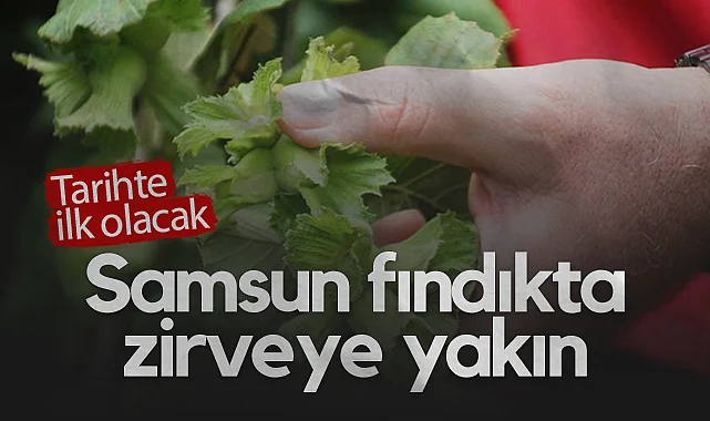 Zirai don Fındıkta Samsun'u Zirveye Taşıyabilir