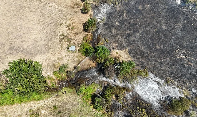 Alaçam'da Örtü Yangını! 15 Dönüm Arazi Etkilendi