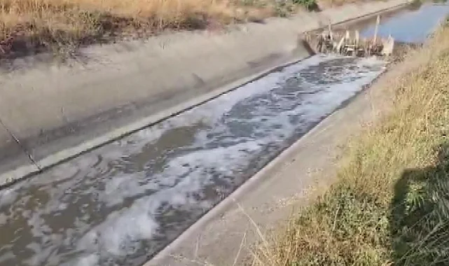 Amasya'da Çevre FelaketiBalık Ölümleri Başladı
