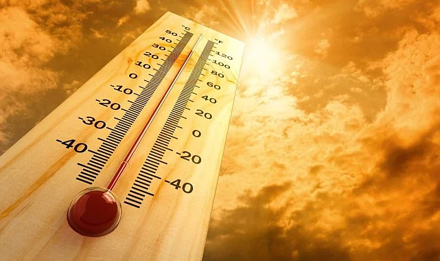 Aşırı Sıcaklar Can Aldı: 264 Kişi Hayatını Kaybetti