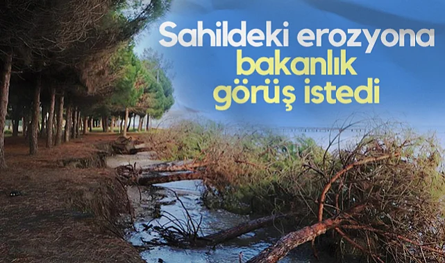 Atakum Sahilindeki Erozyona Çevre Bakanlığı Görüş İstedi