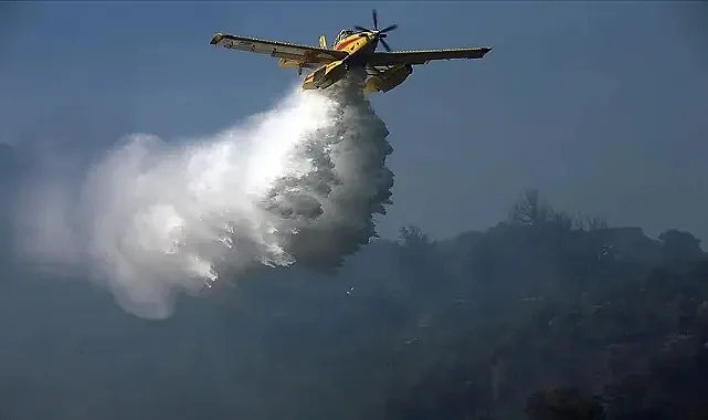 Ateş kuşları Bu Yıl Orman Yangınlarında 51 Bin Sorti Yaptı