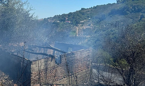 Bafra'da Fındık Bahçesi Yangını: 20 Dönüm Alan Kül Oldu