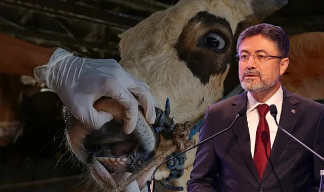 Bakan Yumaklı'dan Şap Hastalığı Açıklaması