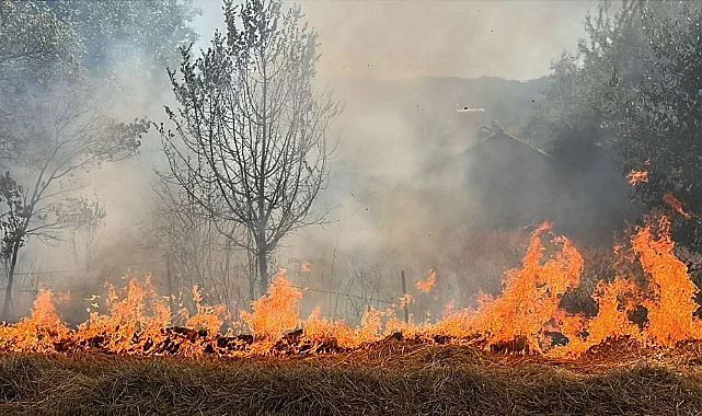 Bolu'da Orman Yangınlarına Karşı Radikal Karar
