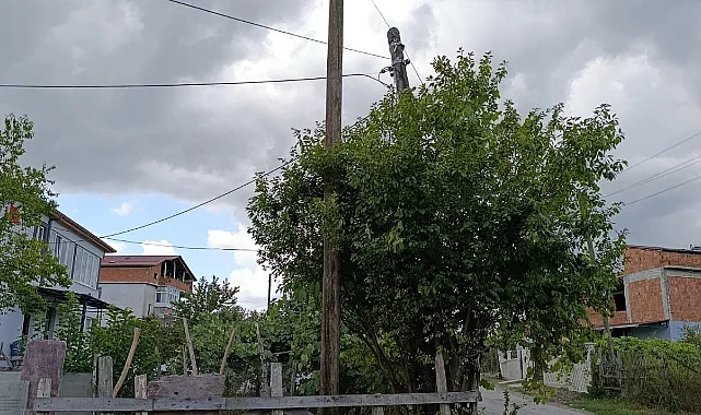 Çarşamba'da Eğik Elektrik Direği Korkutuyordu: Vatandaşın Başvurusuyla Düzeltildi