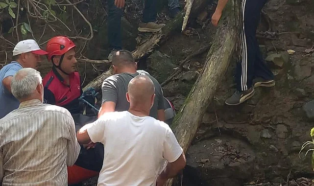 Fındık Toplarken Uçurumdan Yuvarlanan Adam Hayatını Kaybetti