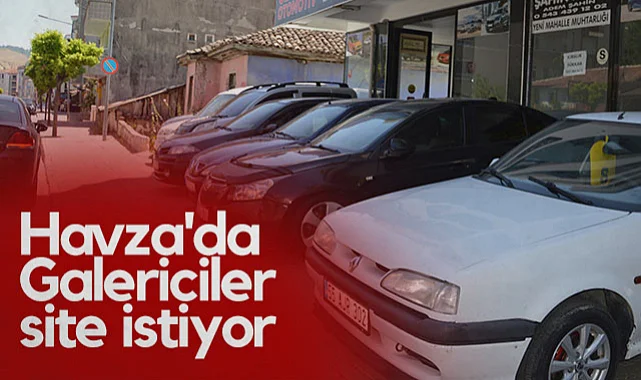Havza'daki Galericiler Dağınık Yapıdan Kurtulmak İstiyor: Galericiler Sitesi Zorunlu Hale Geldi
