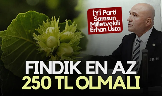 İYİ Parti Samsun Milletvekili Erhan Usta: Fındık En Az 250 TL Olmalı