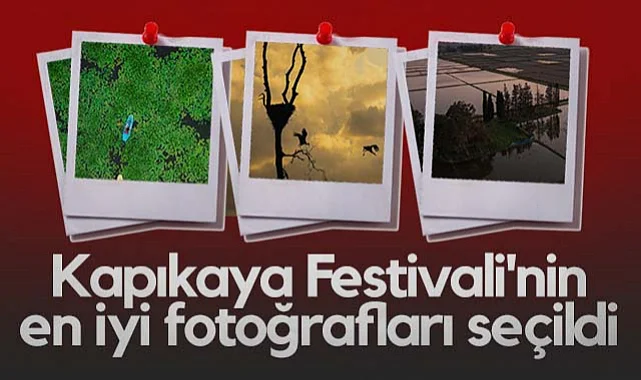 Kapıkaya Festivali'nin En İyi Fotoğrafları Seçildi