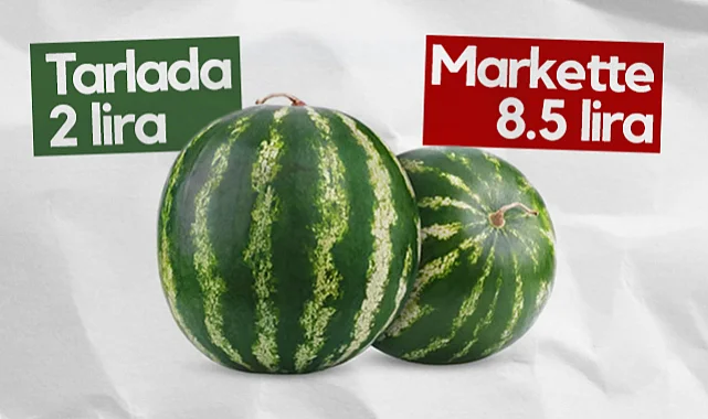 Karpuz Bafra Ovası'nda 2 Lira, Markette 8.5 Lira