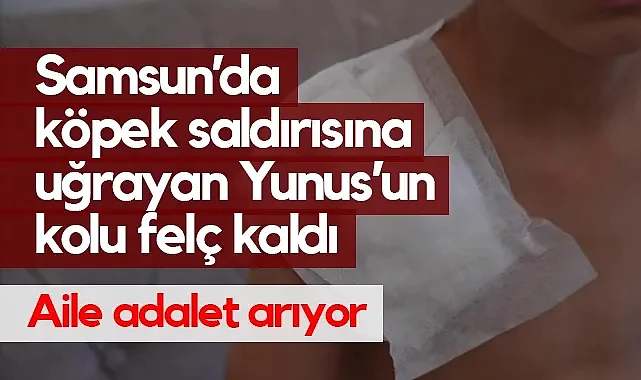 Köpek Saldırısına Uğrayan Yunus’un Kolu Felç Kaldı: Aile Adalet Arıyor
