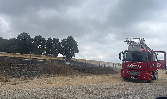 Ladik’te Anız Yangını Büyümeden Söndürüldü