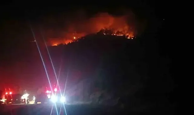 Malatya Doğanyol’da Orman Yangını 9 Saattir Sürüyor