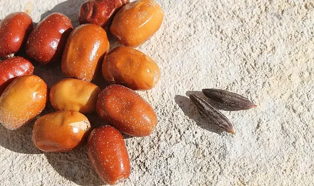 OG Store ile Bebeğinizin Sağlıklı Beslenme Yolculuğu