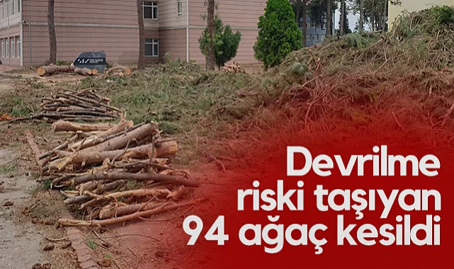 OMÜ Güzel Sanatlar Fakültesi'nde Devrilme Riski Taşıyan 94 Ağaç Kesildi