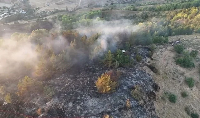 Ordu’da Çıkan Orman Yangını 4 Saatte Söndürüldü