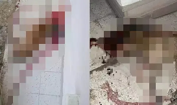 Polis Memuru Sokak Köpeğini Vurarak Öldürdü
