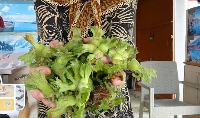 Rekolte Düştü, Fındık Tezgâhlarında Fiyatlar Yükseldi