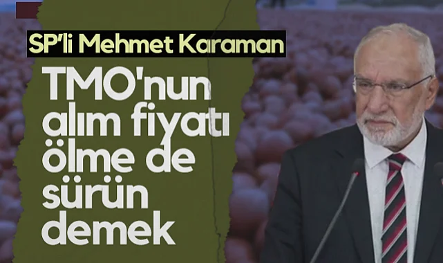 Saadet Partisi Samsun Milletvekili Mehmet Karaman: TMO'nun Fındık Alım Fiyatı Ölme de Sürün Demek