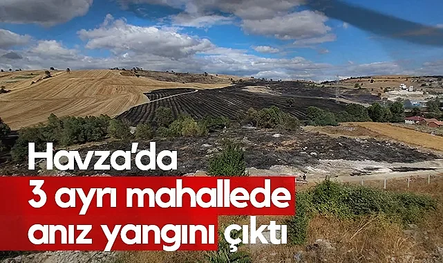 Samsun'da 620 Dekar Tarım Arazisi Anız Yangınında Kül Oldu