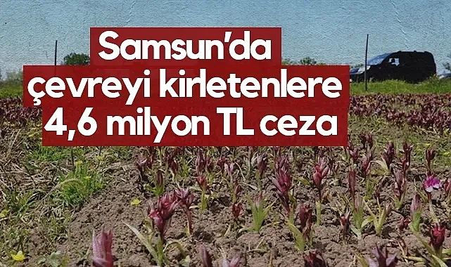 Samsun’da Çevre İhlallerine 4,6 Milyon TL’lik Yaptırım