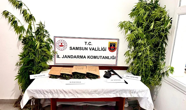 Samsun'da Kubar Esrar ve Kenevir Ele Geçirildi