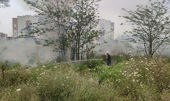 Samsun'da Sazlık Alanda Yangın Çıktı