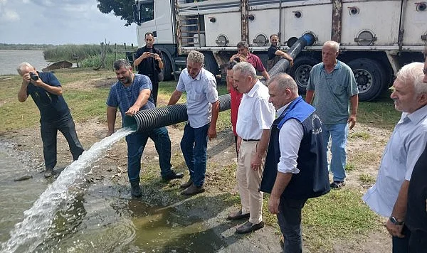 Samsun'da Su Kaynaklarına 2,3 Milyon Sazan Bırakıldı