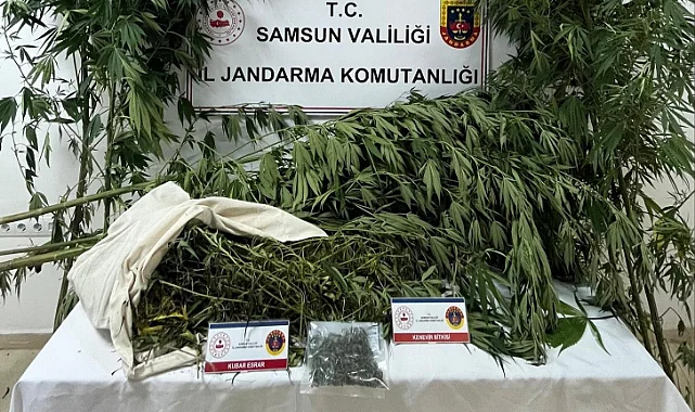 Samsun'da Uyuşturucu Operasyonu: Kenevir ve Kubar Esrar Ele Geçirildi