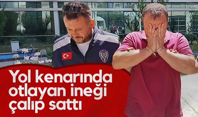 Samsun'da Yol Kenarındaki İneği Çalan Zanlı Tutuklandı