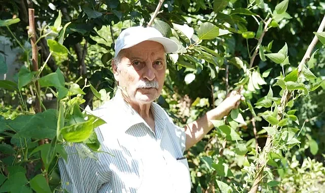 Samsun'daki Evini Tropikal Bahçeye Dönüştürdü