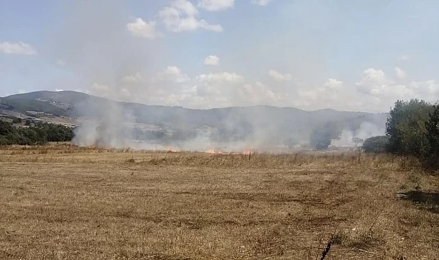 Samsun Kavak’ta Anız Yangını Büyümeden Söndürüldü