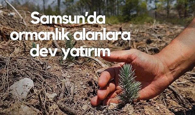 Samsun Ormanlarına Milyon Liralık Yatırım Yapıldı