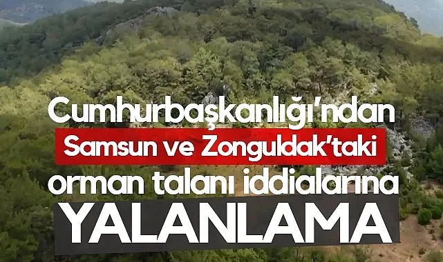 Samsun ve Zonguldak Orman Sınırlarıyla İlgili İddialara DMM'den Açıklama