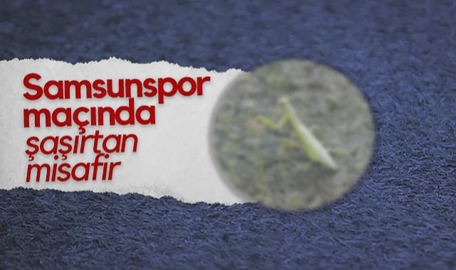 Samsunspor-Panathinaikos Maçında Saşırtan Misafir